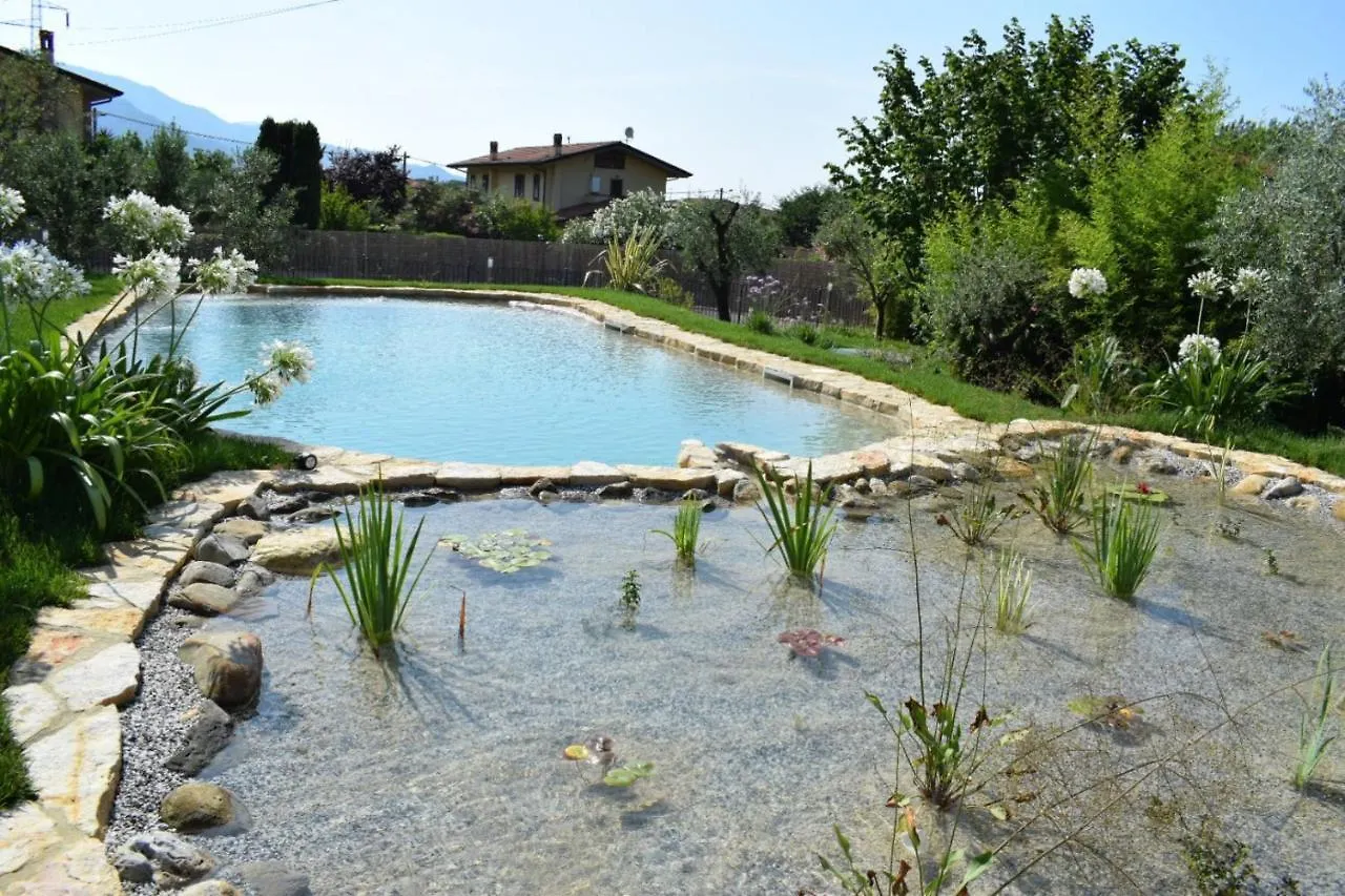 Bed and Breakfast Le Ginestre Масса Отель типа 